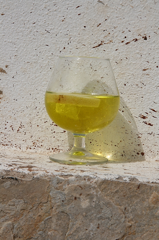 Kanary_2010 061